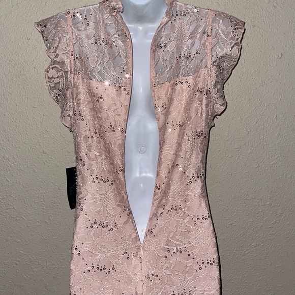 NWT Alex B beautiful elegant lace sequins dress pink size 8 - Picture 8 of 10